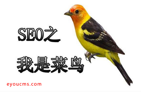 5c551efdac1a429665170a526ecc626e.jpg 5c551efdac1a429665170a526ecc626e.jpg